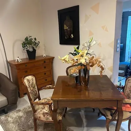 Apartment Charmant, Appartement, Parking Gratuit Colmar