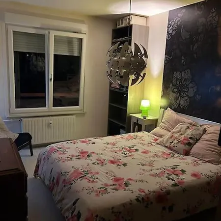Charmant, Appartement, Parking Gratuit * Colmar