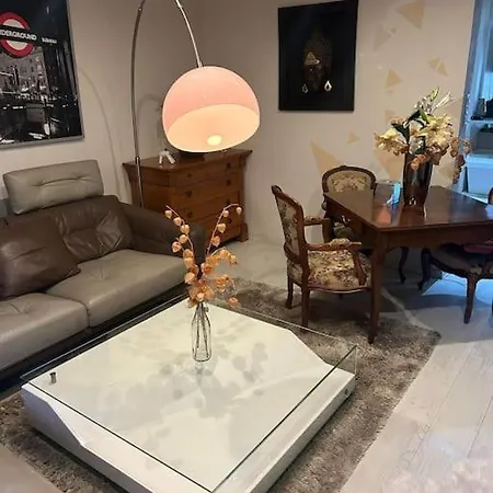 Charmant, Appartement, Parking Gratuit Apartment Colmar